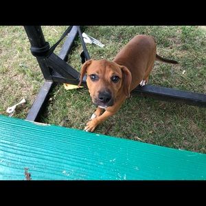 Meet your Posher, Natasha